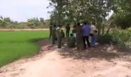 Phát hiện một phụ nữ 60 tuổi nghi bị giết, bỏ thi thể dưới ao cá